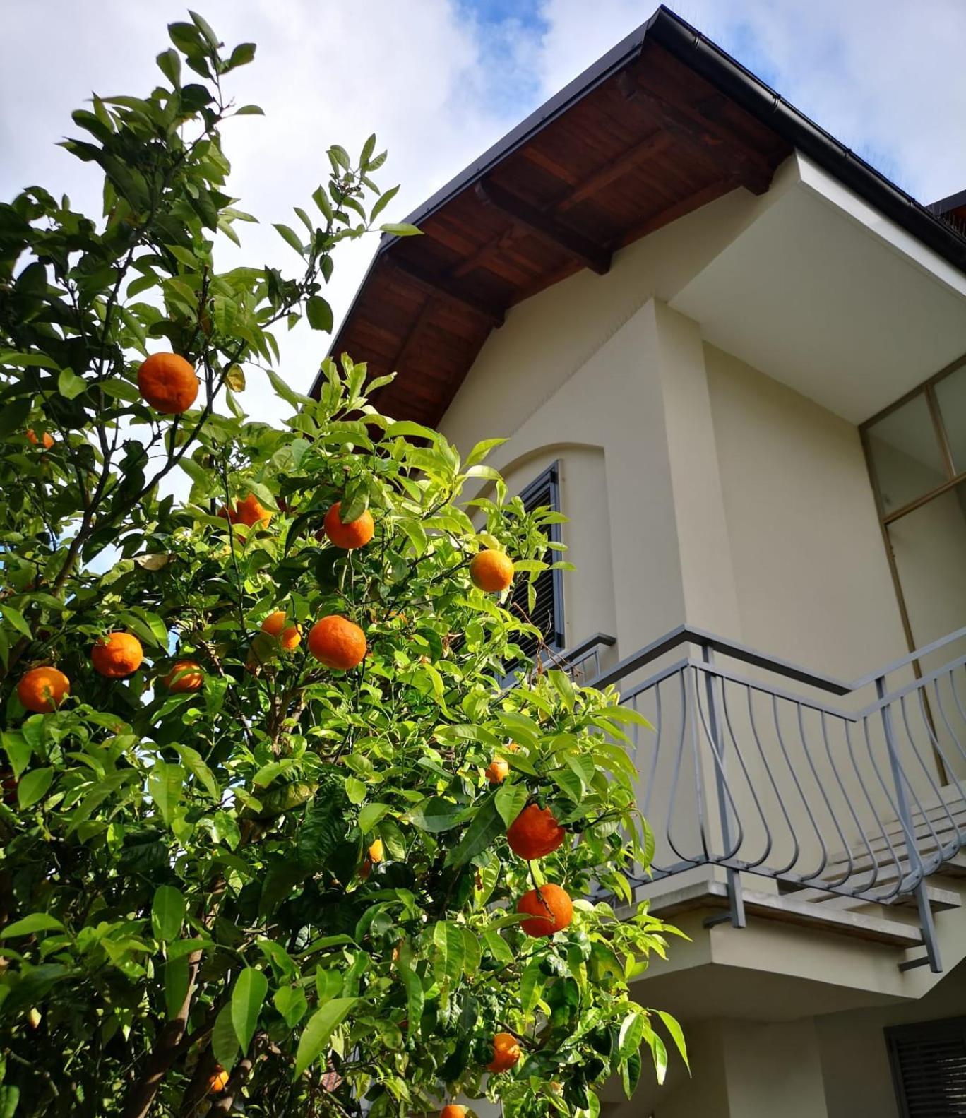 Loano Casa Arche Villa Indipendente Con Giardino 外观 照片